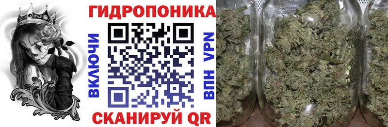 Магазин наркотиков Анива А ПВП  МАРИХУАНА  Мефедрон  Галлюциногенные грибы  Гашиш  АМФ 