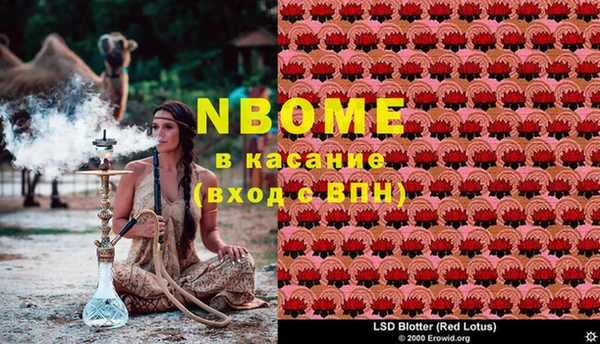 прущие грибы Алексеевка