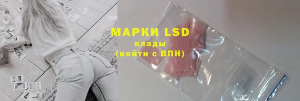 прущие грибы Алексеевка