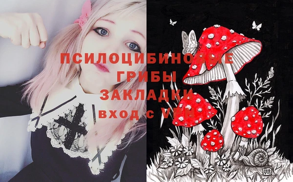 мет Алексин